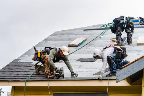 Professional Gutter Installation technician working in Hallettsville, TX